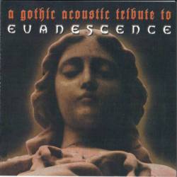 Evanescence : A Gothic Acoustic Tribute to Evanescence